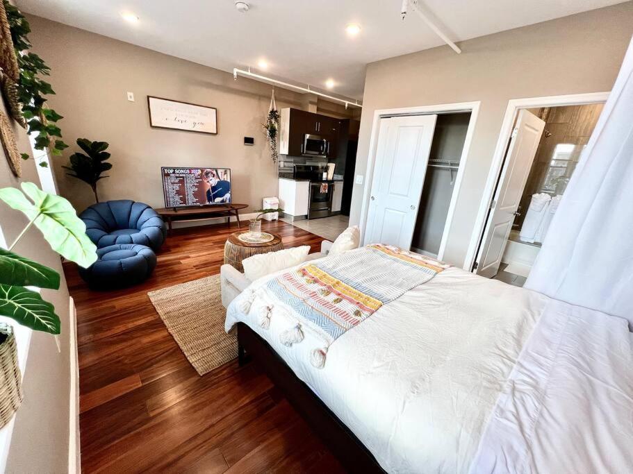 503 Bohemian Romance In Center Apartment Philadelphia